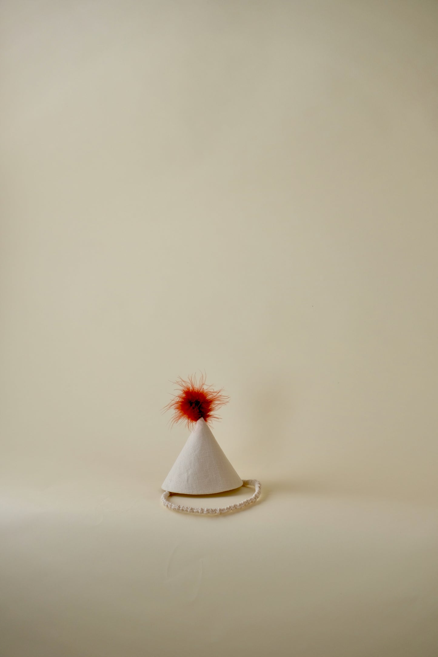 Party Hat with Feathers