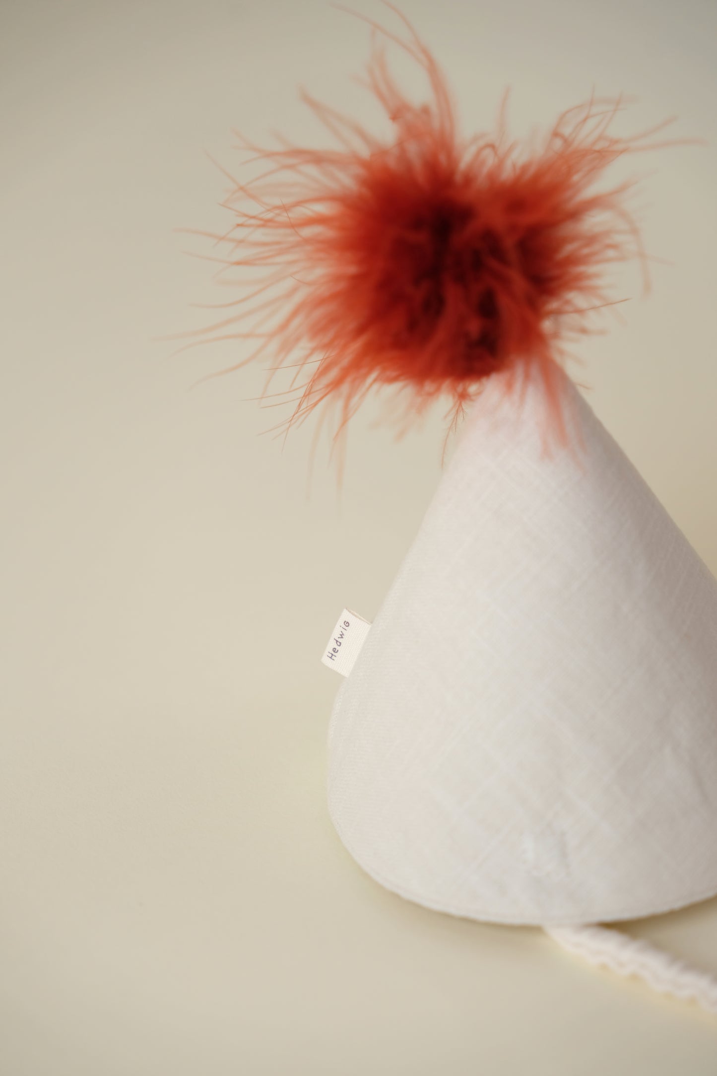 Party Hat with Feathers