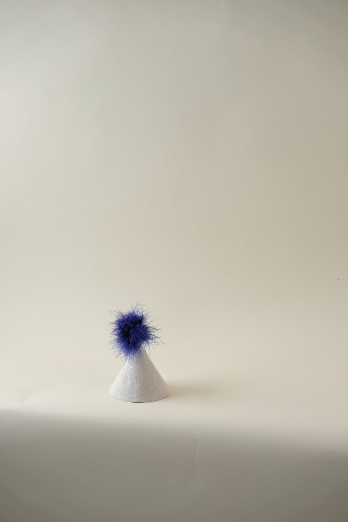 Party Hat with Feathers