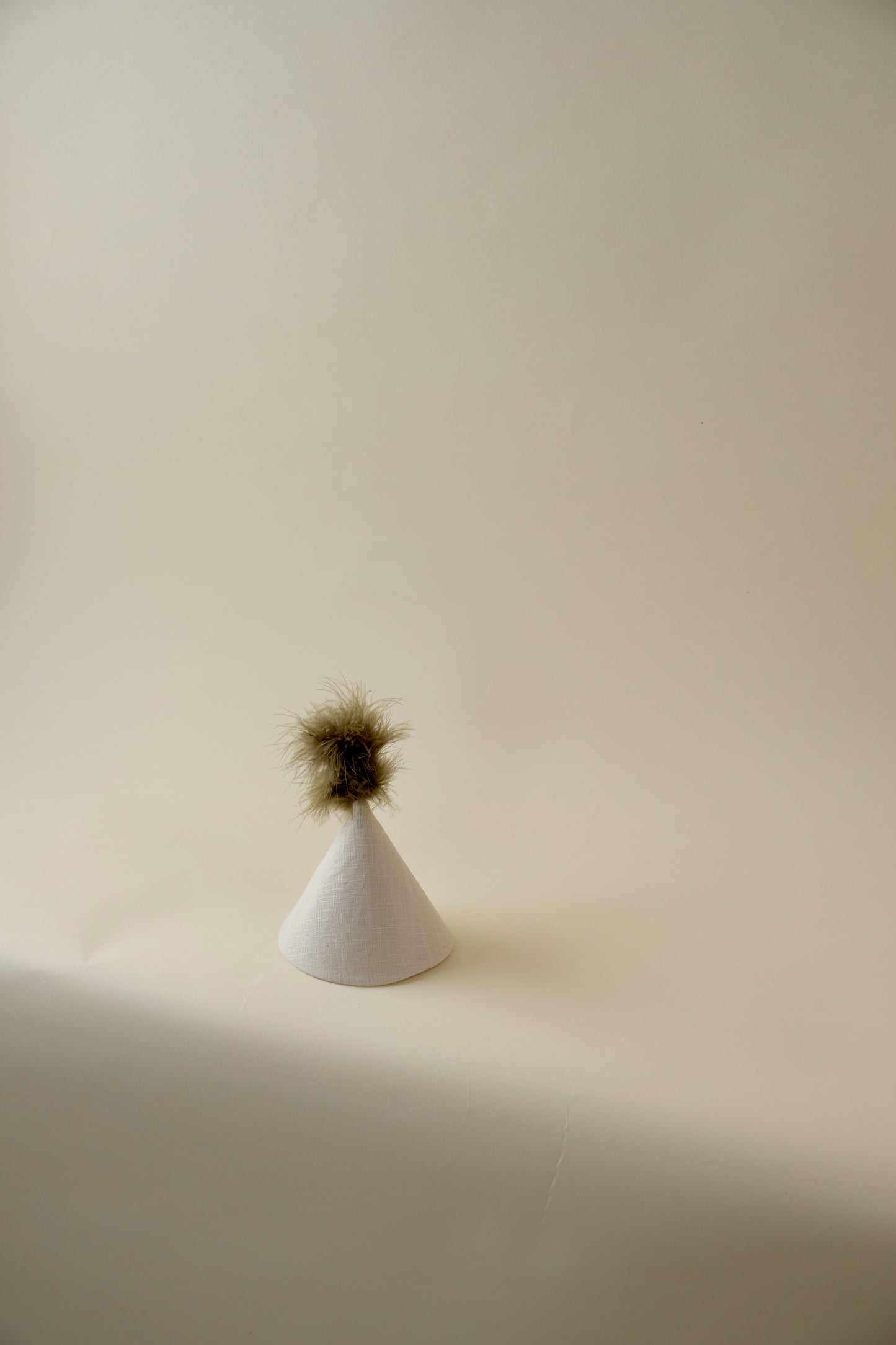 Party Hat with Feathers